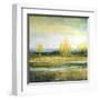 Marsh Lands I-Michael Marcon-Framed Art Print
