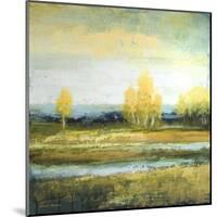 Marsh Lands I-Michael Marcon-Mounted Art Print