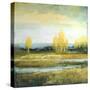 Marsh Lands I-Michael Marcon-Stretched Canvas