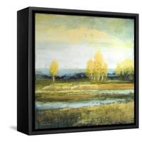 Marsh Lands I-Michael Marcon-Framed Stretched Canvas