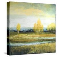 Marsh Lands I-Michael Marcon-Stretched Canvas