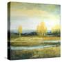 Marsh Lands I-Michael Marcon-Stretched Canvas