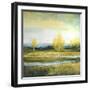 Marsh Lands I-Michael Marcon-Framed Premium Giclee Print