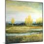 Marsh Lands I-Michael Marcon-Mounted Premium Giclee Print