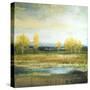 Marsh Lands II-Michael Marcon-Stretched Canvas