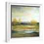 Marsh Lands II-Michael Marcon-Framed Premium Giclee Print