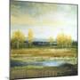 Marsh Lands II-Michael Marcon-Mounted Premium Giclee Print