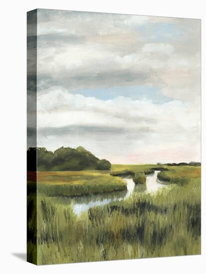 Marsh Landscapes I-Naomi McCavitt-Stretched Canvas
