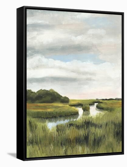 Marsh Landscapes I-Naomi McCavitt-Framed Stretched Canvas