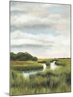 Marsh Landscapes I-Naomi McCavitt-Mounted Art Print