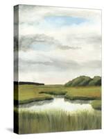 Marsh Landscapes II-Naomi McCavitt-Stretched Canvas