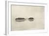 Marsh Leaves Pl 2 : the Lone Lagoon-Peter Henry Emerson-Framed Giclee Print