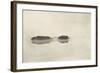 Marsh Leaves Pl 2 : the Lone Lagoon-Peter Henry Emerson-Framed Giclee Print