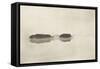 Marsh Leaves Pl 2 : the Lone Lagoon-Peter Henry Emerson-Framed Stretched Canvas