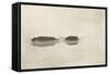 Marsh Leaves Pl 2 : the Lone Lagoon-Peter Henry Emerson-Framed Stretched Canvas