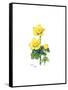 Marsh Marigold, 1998-Nell Hill-Framed Stretched Canvas