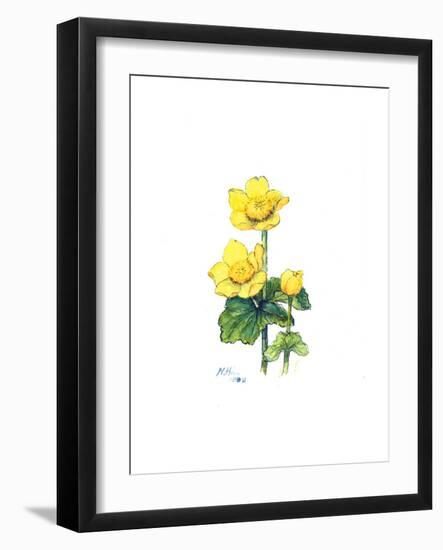 Marsh Marigold, 1998-Nell Hill-Framed Giclee Print