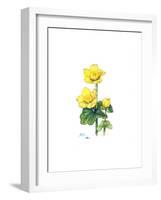 Marsh Marigold, 1998-Nell Hill-Framed Giclee Print