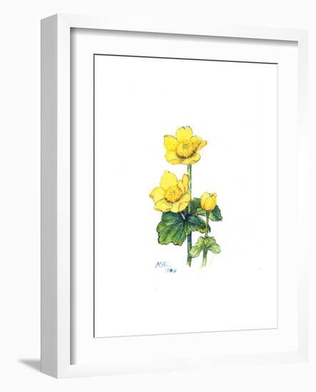 Marsh Marigold, 1998-Nell Hill-Framed Giclee Print