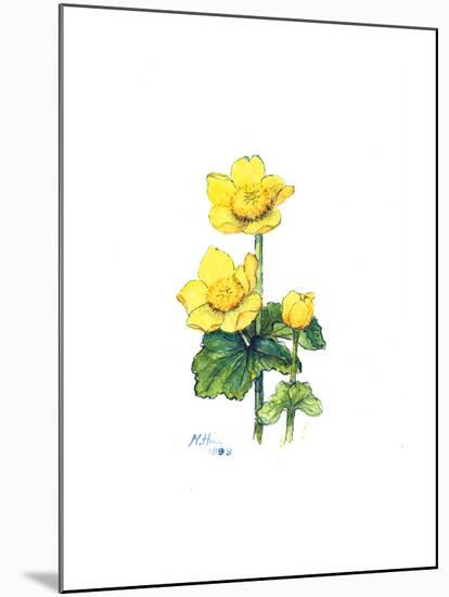 Marsh Marigold, 1998-Nell Hill-Mounted Giclee Print