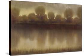 Marsh Of The Warm Sunset-Williams-Stretched Canvas