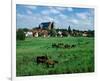 Marsh old town, Verden Germany-null-Framed Premium Giclee Print