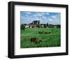 Marsh old town, Verden Germany-null-Framed Art Print