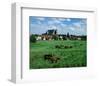 Marsh old town, Verden Germany-null-Framed Art Print