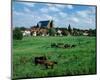 Marsh old town, Verden Germany-null-Mounted Art Print