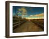 Marsh Path-Irene Suchocki-Framed Photographic Print