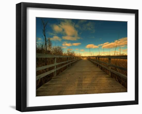 Marsh Path-Irene Suchocki-Framed Photographic Print