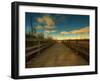 Marsh Path-Irene Suchocki-Framed Photographic Print