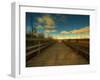 Marsh Path-Irene Suchocki-Framed Photographic Print