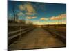 Marsh Path-Irene Suchocki-Mounted Photographic Print