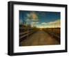 Marsh Path-Irene Suchocki-Framed Photographic Print