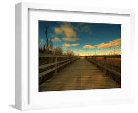 Marsh Path-Irene Suchocki-Framed Photographic Print