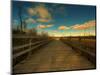 Marsh Path-Irene Suchocki-Mounted Photographic Print