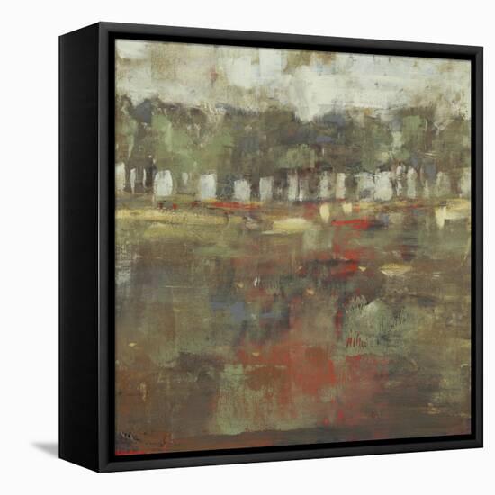 Marsh Plane II-Jennifer Goldberger-Framed Stretched Canvas