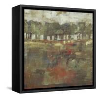 Marsh Plane II-Jennifer Goldberger-Framed Stretched Canvas