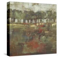 Marsh Plane II-Jennifer Goldberger-Stretched Canvas