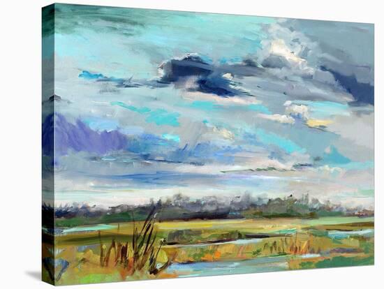 Marsh Skies-Carol Hallock-Stretched Canvas