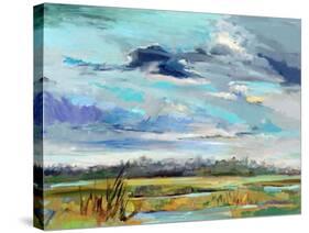 Marsh Skies-Carol Hallock-Stretched Canvas