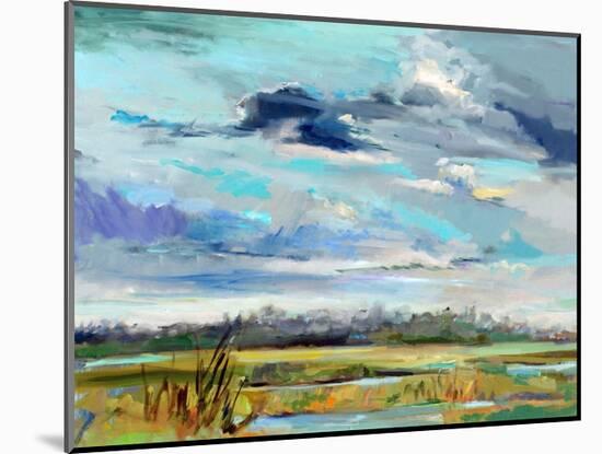 Marsh Skies-Carol Hallock-Mounted Art Print