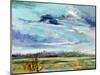Marsh Skies-Carol Hallock-Mounted Art Print