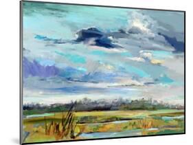 Marsh Skies-Carol Hallock-Mounted Art Print