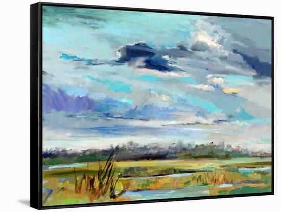 Marsh Skies-Carol Hallock-Framed Stretched Canvas