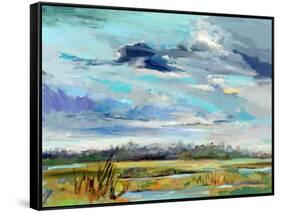 Marsh Skies-Carol Hallock-Framed Stretched Canvas