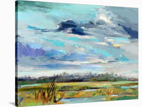 Marsh Skies-Carol Hallock-Stretched Canvas