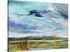 Marsh Skies-Carol Hallock-Stretched Canvas