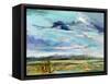 Marsh Skies-Carol Hallock-Framed Stretched Canvas